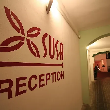 Susa Apartahotel 3*
